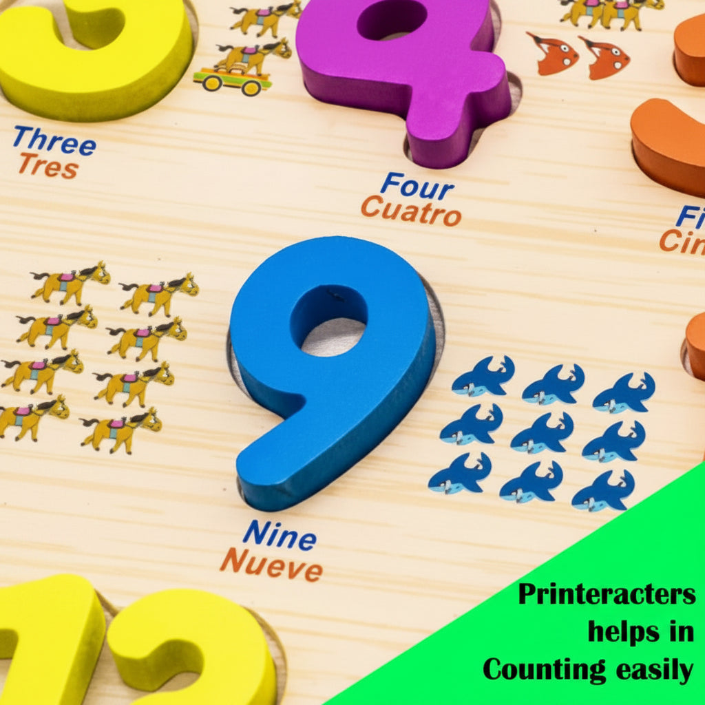 Wooden 1-20 Numerical Learning Educational Board